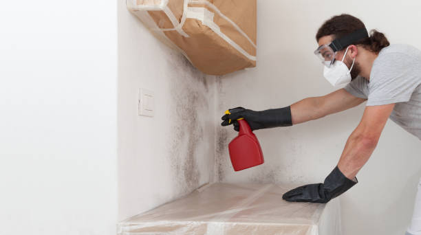 Professional Crawl Space Mold Remediation technician working in Hamburg, PA