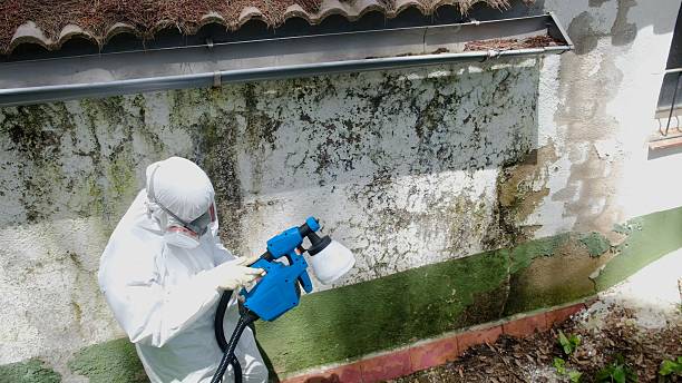Top rated local Crawl Space Mold Remediation specialists in Hamburg, PA
